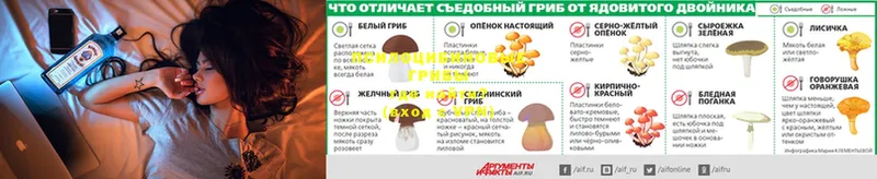 Псилоцибиновые грибы Psilocybine cubensis  блэк спрут ONION  Губаха 